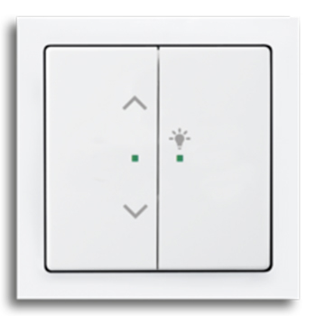 Busch-flexTronics (dimmen, schakelen, jaloezie en beweging)