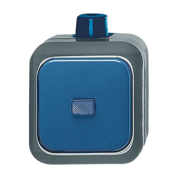 Busch-Duro 2000 WDI (IP 66)