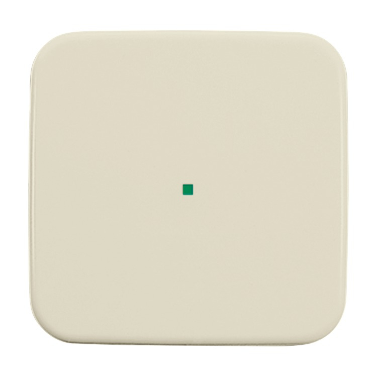 Afdekkingen Busch-Duro 2000 SI