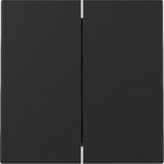 Gira 3295005 Systeem 55 Wip 2-voudig Zwart mat