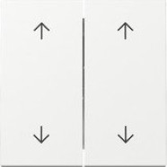 Gira 329703 Systeem 55 Wip 2-voudig met pijlsymbool Zuiver wit glanzend