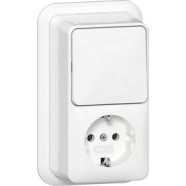 Gira 417611 Opbouw Combinatie wipschakelaar/ wandcontactdoos met randaarde 16 A 250 V~ 
