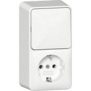 Gira 417614 Opbouw Combinatie wipschakelaar/ wandcontactdoos met randaarde 16 A 250 V~ 