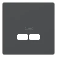 Schneider Electric Merten MTN4367-6034 Systeem Design Centraalplaat voor USB-oplader Antraciet