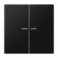 Jung HOME BT LS 17102 SWM Taster 2-voudig Grafietzwart mat 