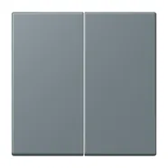 Jung LC 1702 251 LB Management taster 2-voudig LS 990 gris 59 (4320H)