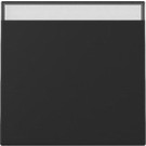 Gira 3299005 Systeem 55 Wip met tekstkader Zuiver wit mat