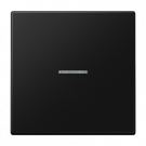 Jung LS 101 KO5 SWM Schakelwip met lens Grafietzwart mat