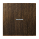 Jung ME 101 KO5 AT F10 Schakelwip met lens voor taster 1-voudig Messing antiek