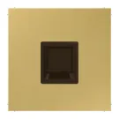 Jung ME 1969-1 WE C ATAfdekking (klikbevestiging) voor modular jack 1-voudig UMA-CAT6A RADIALL en Panduit Messing klassiek