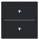 Busch Jaeger LFBT/A.2.63.11-885 Future Linear Afdekking 2-voudig voor keypad met symbool “Verlichting” Zwart mat