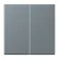 Jung LC 1702 251 LB Management taster 2-voudig LS 990 gris 59 (4320H)